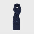 Écharpe Louis Vuitton Marine